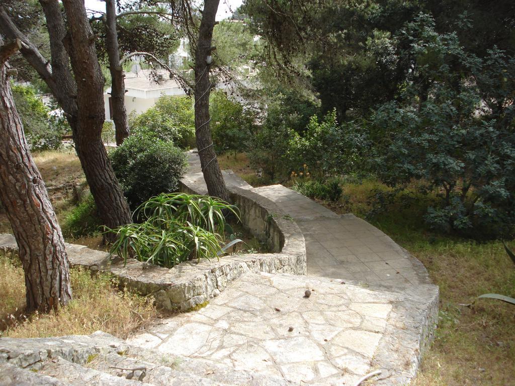 Trullo In The Wood Villa Nardò Kültér fotó