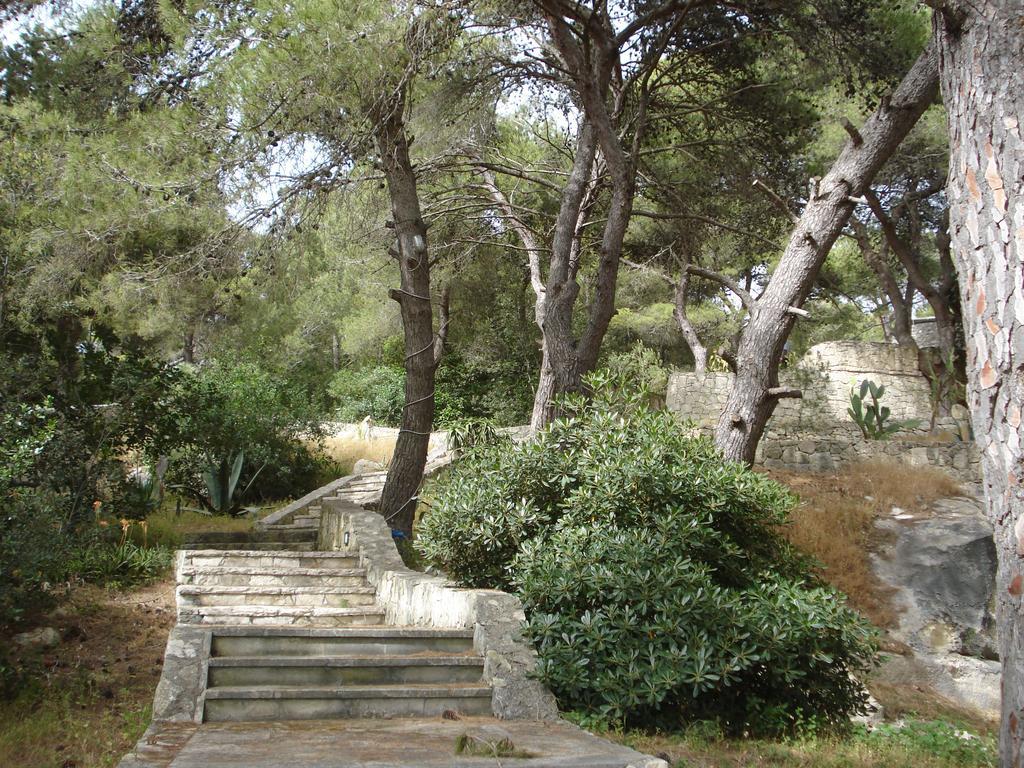 Trullo In The Wood Villa Nardò Kültér fotó